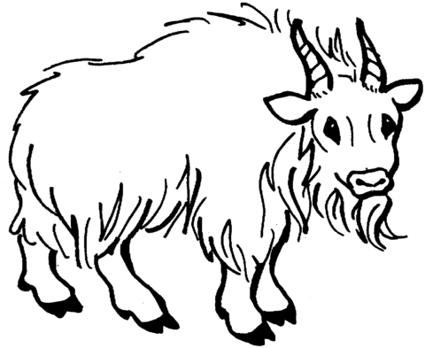 Hairy Mountain Goat Coloring Page